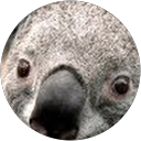 Sharon McQuerry profile picture