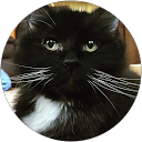 carolyn rittweger profile picture