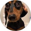 Leanne Minghini profile picture